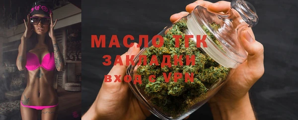 хмурый Дмитров