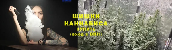 хмурый Дмитров
