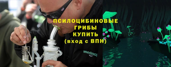 крисы Дмитровск