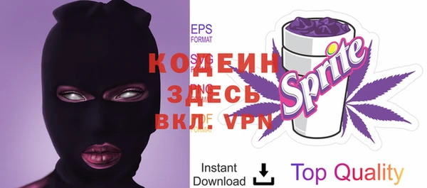 хмурый Дмитров