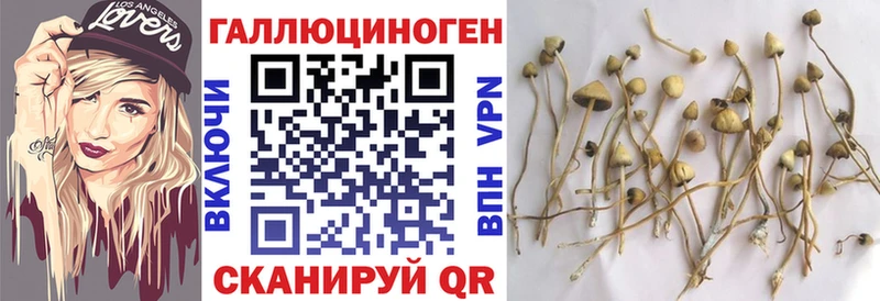 Купить где  Карпинск  Псилоцибиновые грибы MAGIC MUSHROOMS 